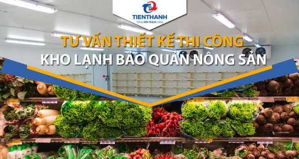 Phân Loại và Ứng Dụng của Kho Lạnh Công Nghiệp